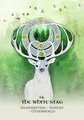 Celtic Spirit Oracle: Ancient Wisdom from the Elementals