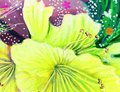 Lightness of Being: Affirmation Cards (Rockpool Mini Cards)