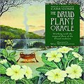 The Druid Plant Oracle: Working with the Magical Flora of the Druid Tradition [With Booklet]