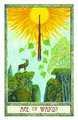 The Druid Plant Oracle: Working with the Magical Flora of the Druid Tradition [With Booklet]