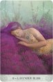 Botanical Dreams Oracle