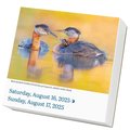 Audubon Birds Page-A-Day(r) Calendar 2025: The World's Favorite Bird Calendar