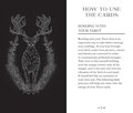 Oriens Animal Tarot Pocket Edition (Rockpool Tarot)