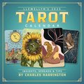 Llewellyn's 2025 Tarot Calendar: Insights, Spreads and Tips (Llewellyn's 2025 Calendars, Almanacs & Datebooks)