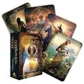 Queen of the Sun Oracle: Guidance Through Solar and Seasonal Energies (Rockpool Oracle)