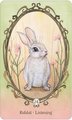 Wing, Hoof and Paw: An Animal Companion Oracle