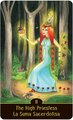 Sortilegium Tarot Deck & Book Set