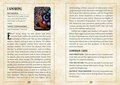 The Witching Hour Oracle