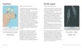 Unusual Animal Messages Oracle Deck: Includes 52 Cards and a 64-Page Illustrated Book