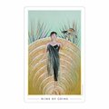 The Fountain Tarot: Illustrated Deck and Guidebook