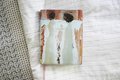 Amplified Holy Bible, Anne Neilson Angel Art Series, Leathersoft, Blush