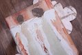 Amplified Holy Bible, Anne Neilson Angel Art Series, Leathersoft, Blush