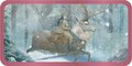 Once Upon a Time: Be Your Own Happily Ever After . . . (Rockpool Mini Cards)