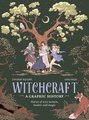 Witchcraft: A Graphic History Stories of Wise Women, Healers and Magic (Graphic Mbs)