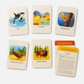  Animals of the National Parks Take a Hike: A 3-In-1 Card Deck
