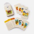  Animals of the National Parks Take a Hike: A 3-In-1 Card Deck