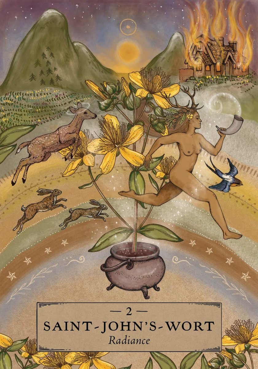 The Herbal Astrology Pocket Oracle: A 55-Card Deck and Guidebook