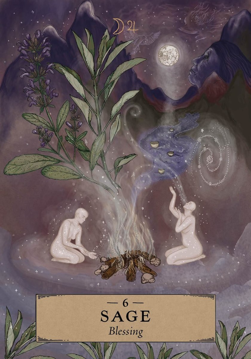 The Herbal Astrology Pocket Oracle: A 55-Card Deck and Guidebook