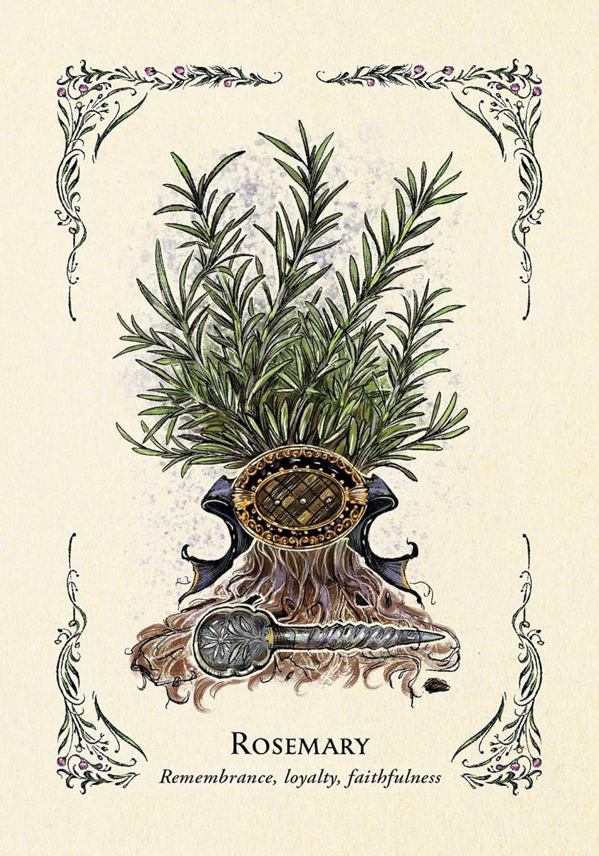 The Green Witch's Oracle Deck: Embrace the Wisdom and Insight of Natural Magic (Green Witch Witchcraft)