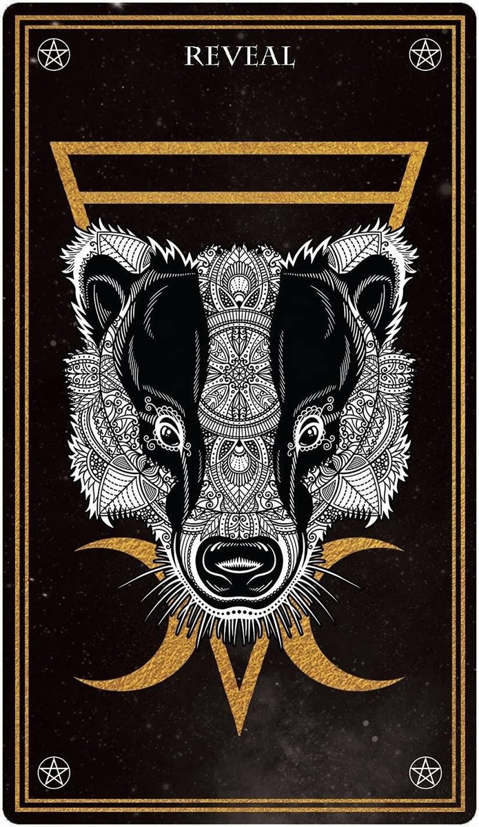 Wild Mystic Oracle Card Deck: A 50-Card Deck and Guidebook