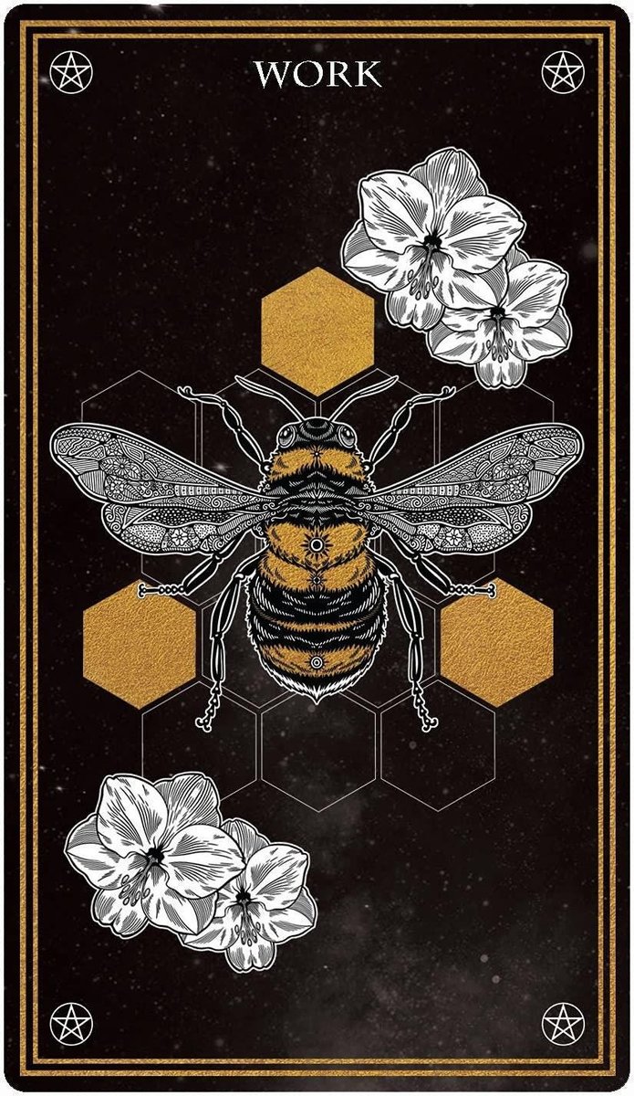 Wild Mystic Oracle Card Deck: A 50-Card Deck and Guidebook