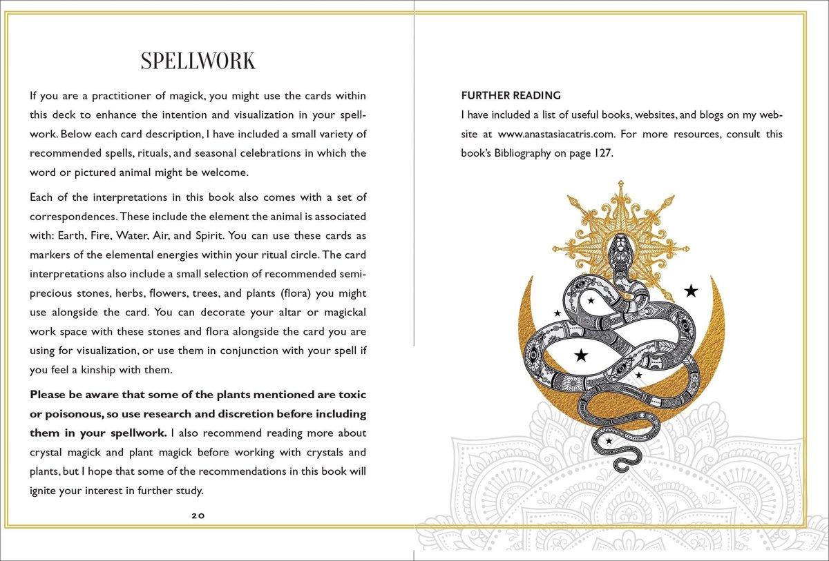 Wild Mystic Oracle Card Deck: A 50-Card Deck and Guidebook