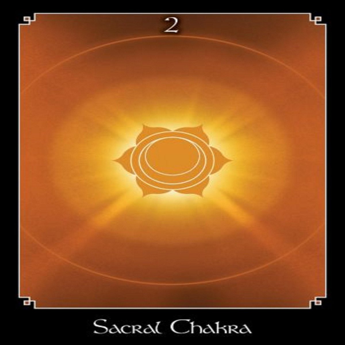 The Psychic Tarot Oracle Cards: a 65-Card Deck, plus booklet!