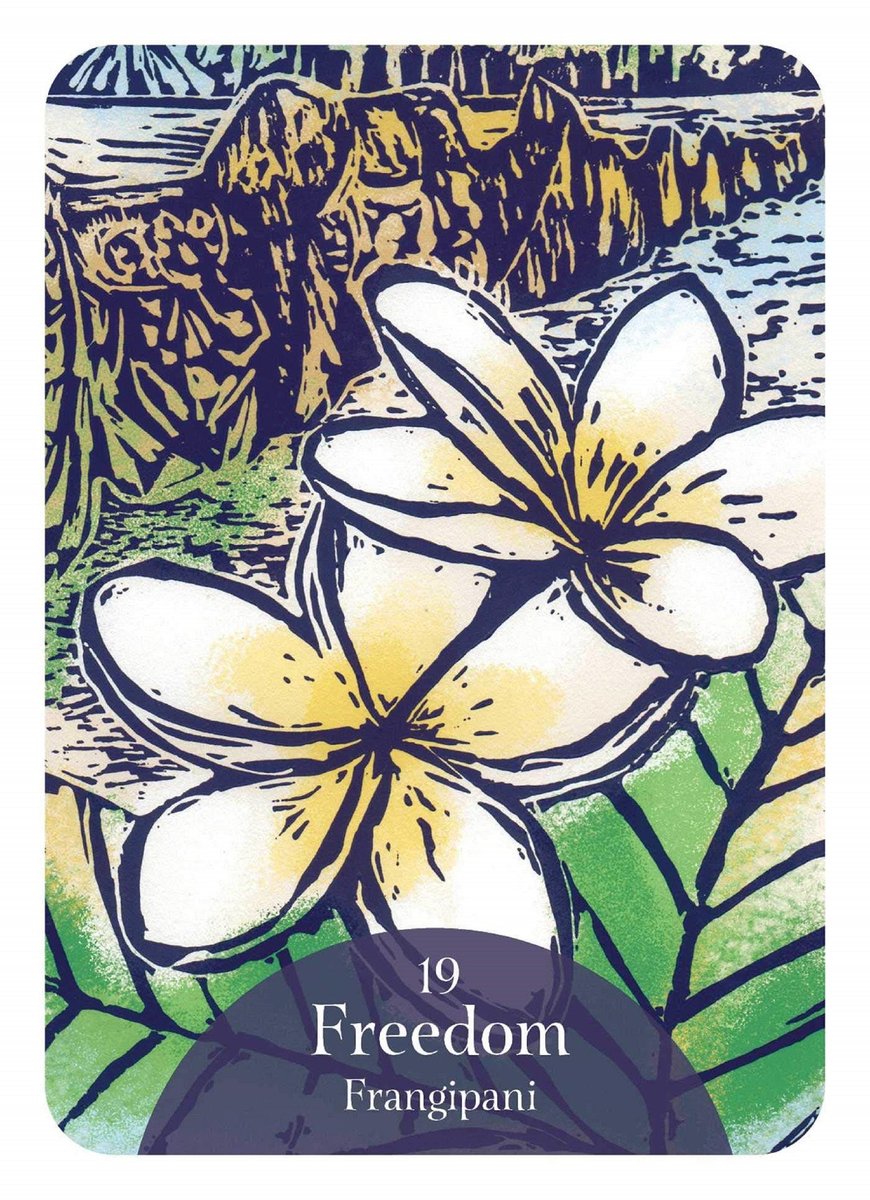 The Language of Flowers Oracle: Sacred Botanical Guidance and Support ( Rockpool Oracle Card )