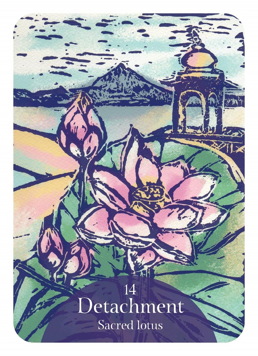 The Language of Flowers Oracle: Sacred Botanical Guidance and Support ( Rockpool Oracle Card )
