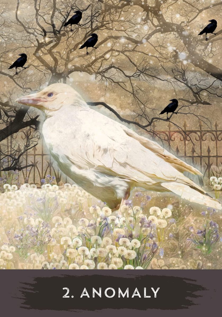 Urban Crow Oracle: A 54-Card Deck and Guidebook