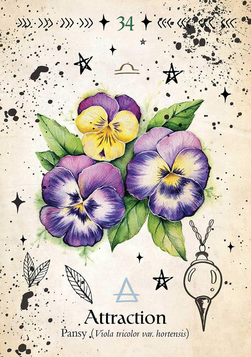 Green Witch Oracle Cards: Discover Real Secrets of Natural Magick