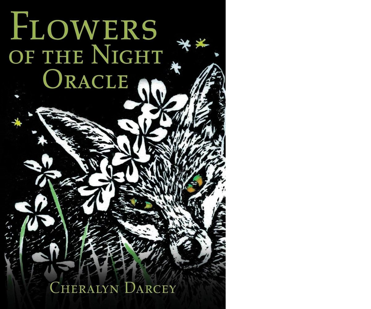 Flowers of the Night Oracle ( Rockpool Oracle Card )
