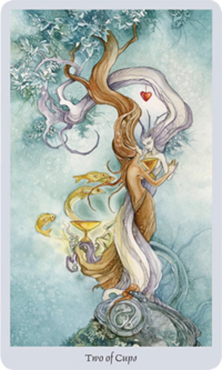 Shadowscapes Tarot [With Booklet]