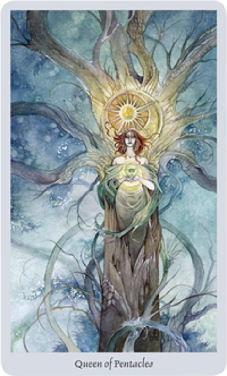 Shadowscapes Tarot [With Booklet]