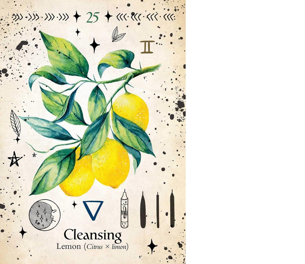 Green Witch Oracle Cards: Discover Real Secrets of Natural Magick