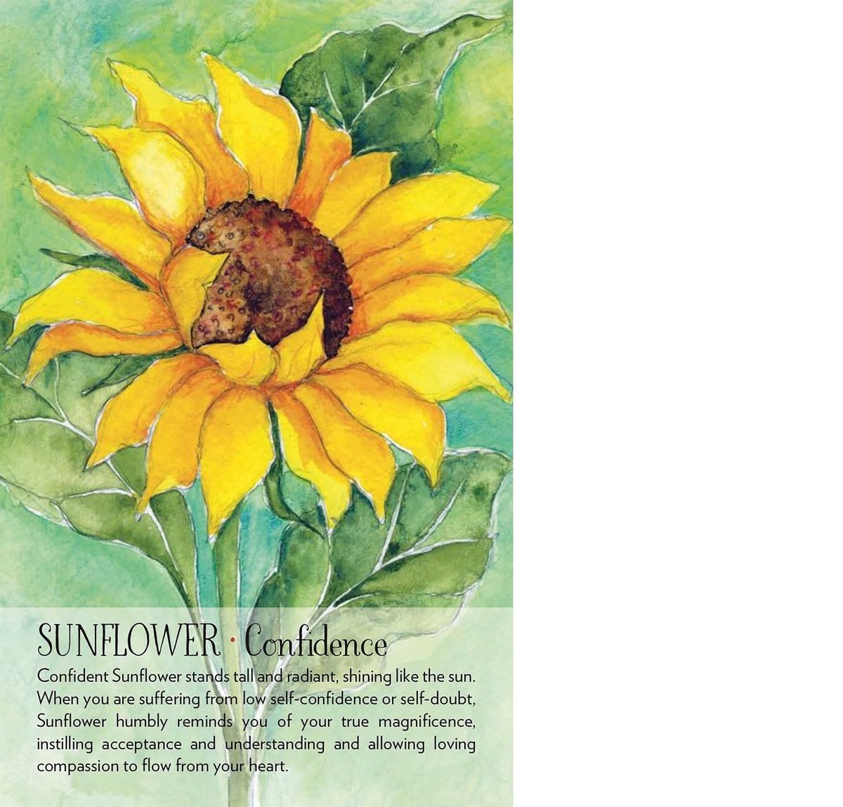 Soulflower Plant Spirit Oracle: 44-Card Deck and Guidebook