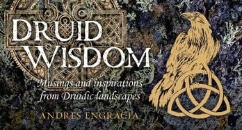 Druid Wisdom (Rockpool Mini Cards)