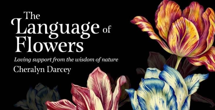 The Language of Flowers: Loving Support from the Wisdom of Nature Rockpool Mini Cards