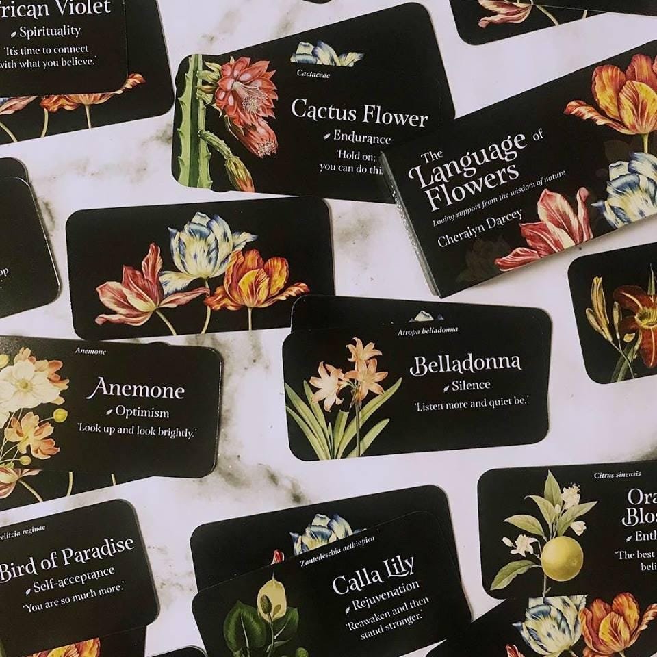 The Language of Flowers: Loving Support from the Wisdom of Nature Rockpool Mini Cards