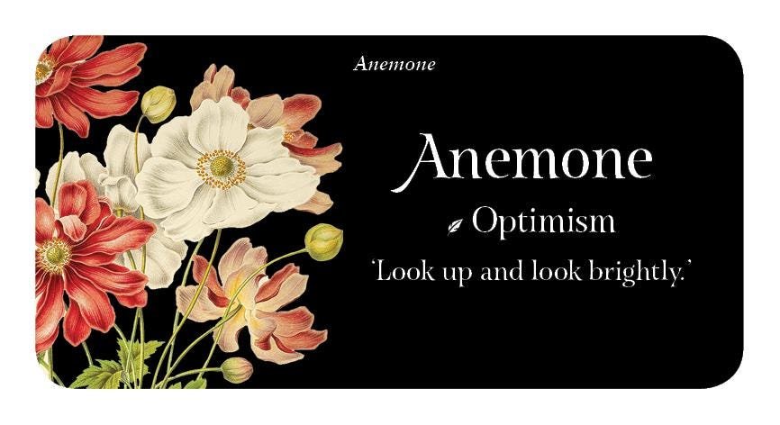 The Language of Flowers: Loving Support from the Wisdom of Nature Rockpool Mini Cards