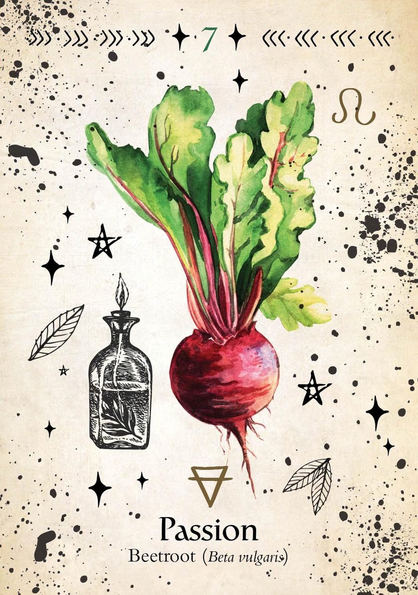 Green Witch Oracle Cards: Discover Real Secrets of Botanical Magick