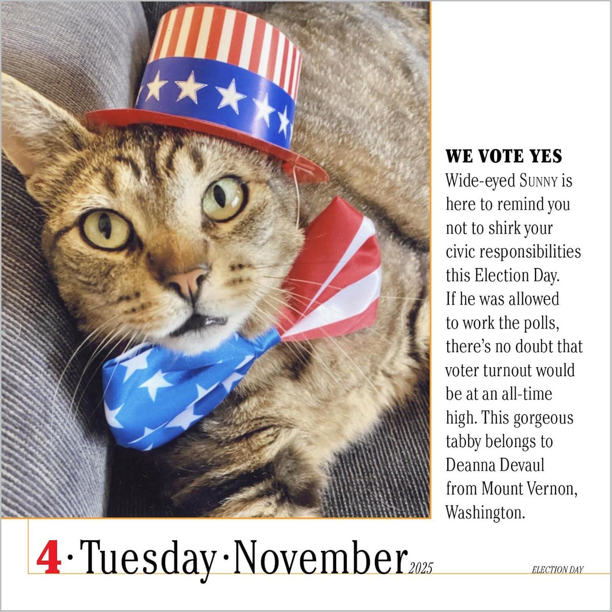 365 Cats Page-A-Day(r) Calendar 2025: The World's Favorite Cat Calendar