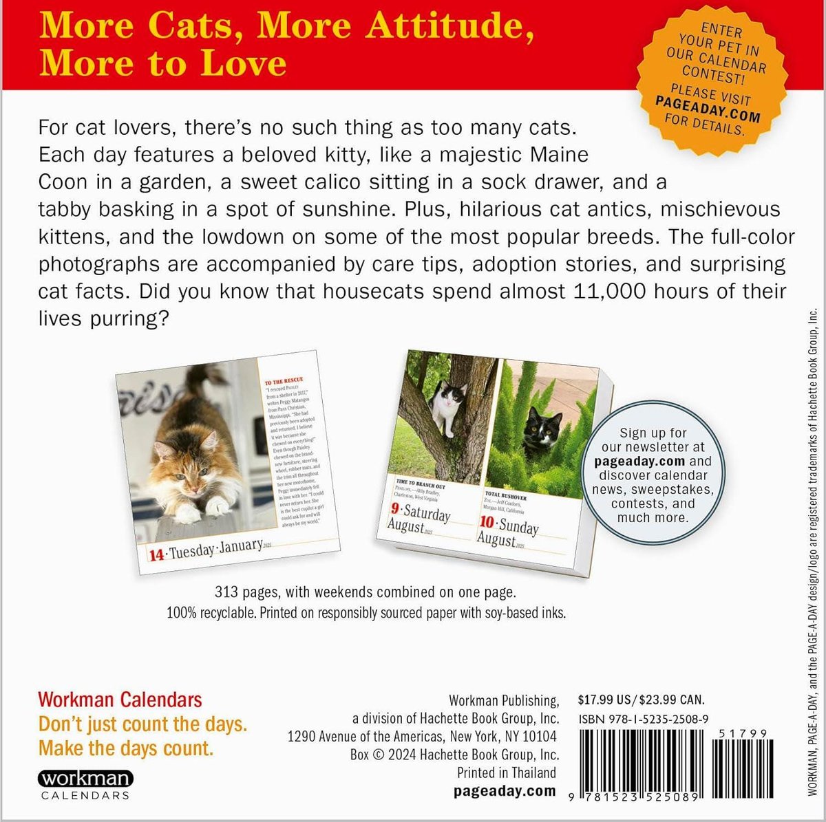 365 Cats Page-A-Day(r) Calendar 2025: The World's Favorite Cat Calendar