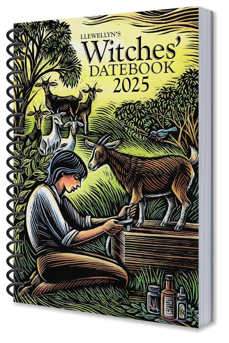 Llewellyn's 2025 Witches' Datebook (Llewellyn's 2025 Calendars, Almanacs & Datebooks)