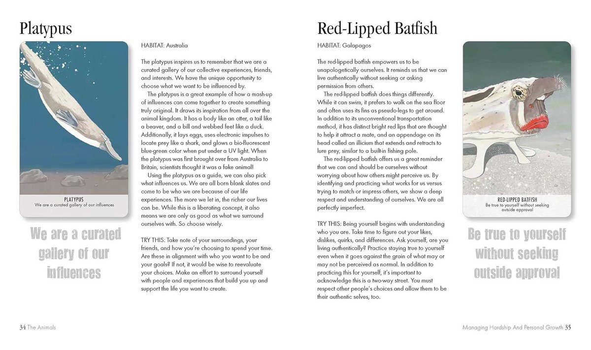 Unusual Animal Messages Oracle Deck: Includes 52 Cards and a 64-Page Illustrated Book
