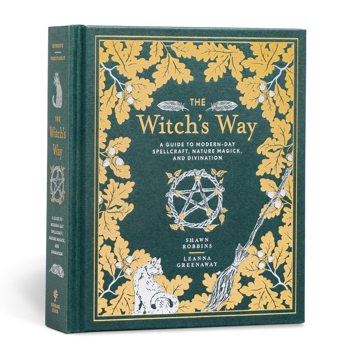 The Witch's Way: A Guide to Modern-Day Spellcraft, Nature Magick, and Divination Volume 5 (Modern-Day Witch #5)
