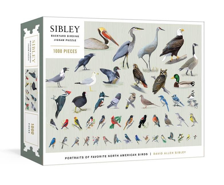 Sibley Backyard Birding Puzzle 1000 Piece Jigsaw Puzzle with Portraits of Favorite North American Birds Jigsaw Puzzles Adults Sibley Birds
