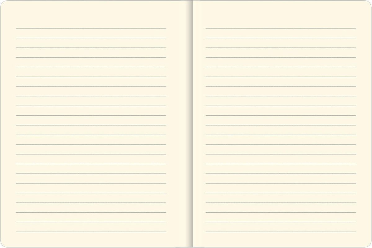 Golden Flight Journal