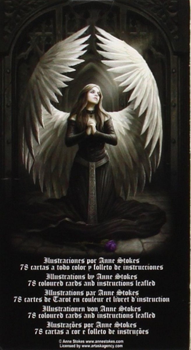 Anne Stokes Gothic Tarot Deck (Anne Stokes Collection)
