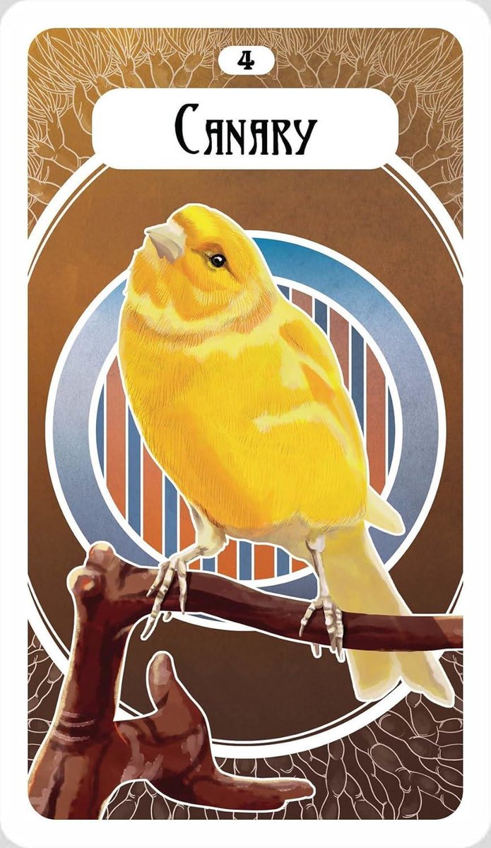 The Avian Oracle: (45 Full-Color Cards and 60-Page Guidebook)